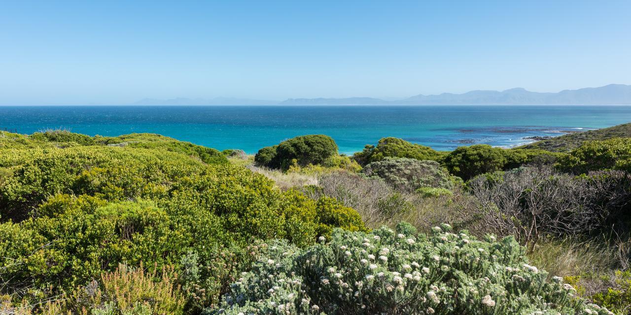 Romans Villa Gansbaai Esterno foto