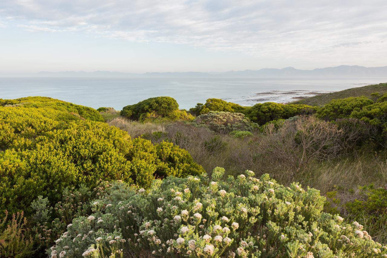 Romans Villa Gansbaai Esterno foto